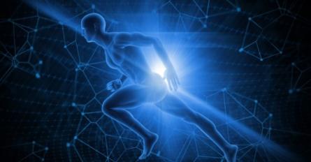 Biomechanika