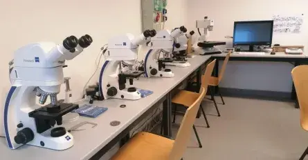 Metallográfiai Mérőszoba